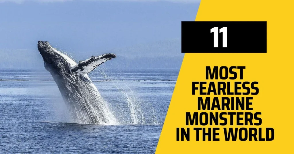 11 Most Fearless Marine Monsters in the world